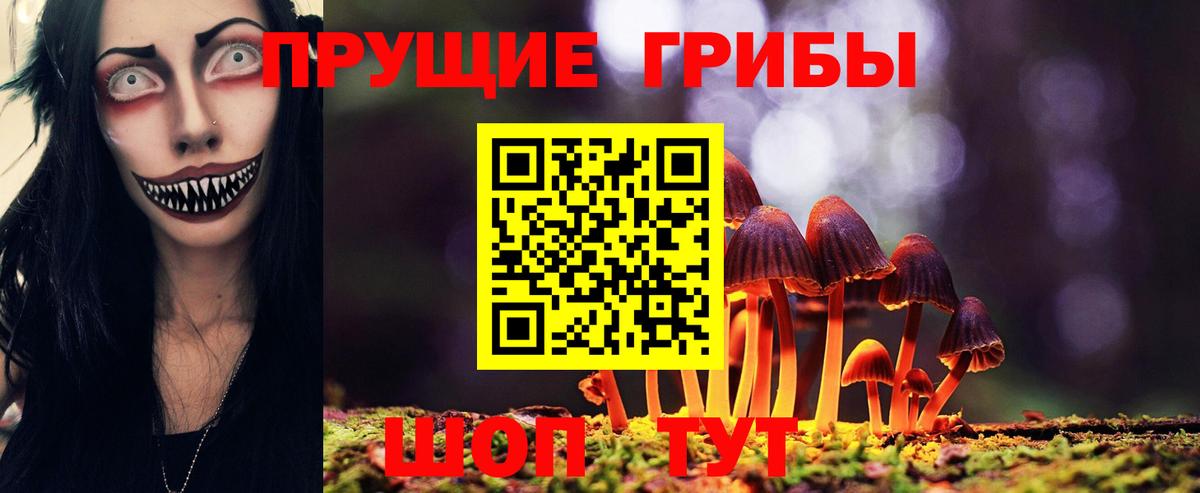 Партизанск  Псилоцибиновые грибы Psilocybine cubensis  Вход с VPN 